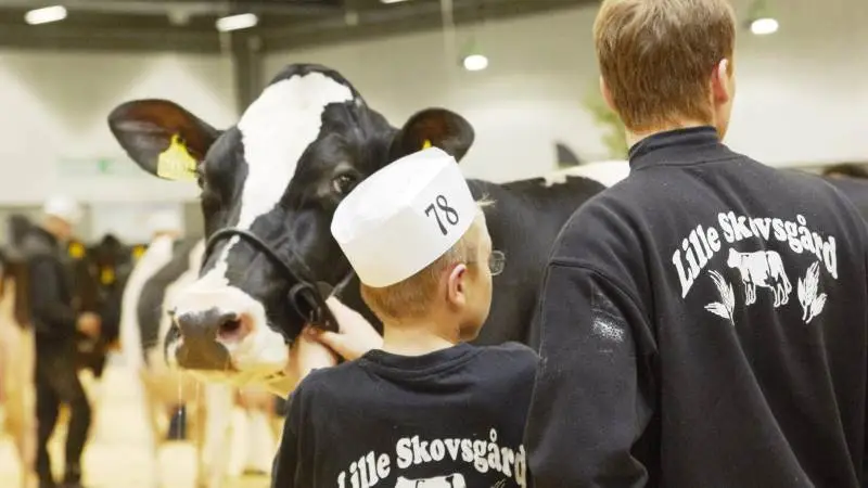 Arbejdet med at planlægge Kimbrerskuet er omfattende. For ikke at komme i tidsnød senere på året, er det derfor vigtigt at vi går i gang nu fortæller arrangørerne, som foruden Messecenter Vesthimmerland også tæller NF Plus og Agri Nord. Arkivfoto
