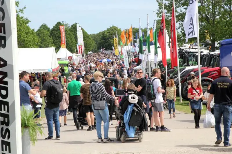I 2019 kunne Roskilde Dyrskue fejre 50-års jubilæum på Dyrskuepladsen i Roskilde, hvor der var besøgsrekord med hele 113.000 gæster. I år bliver der desværre ingen dyrskuefest - hverken i Roskilde eller andre steder i landet.
