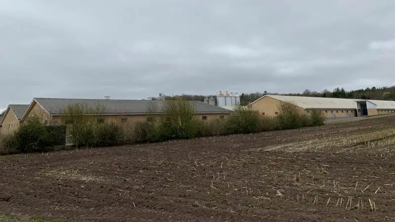 Mogens Christensens nye slagtesvinestald ses til højre i billedet. Han efterlyser mere information fra Landbrugsstyrelsen om, hvornår han og andre, der får tilskud fra miljøteknologiordninger, kan forvente støtten udbetalt. Foto: Privat