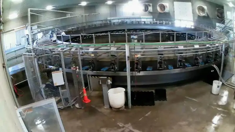 Den nyinstallerede, fuldautomatiske malkekarrusel hos de fire brødre Golob i staten Washington, USA. Fotos: Poul Golob