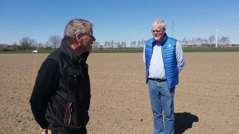 Landmand Karsten Borre (tv) og Henrik Møller fra SESVanderHave (th) besigtiger forsøgsmarken med Conviso-roer. De små planter er kun lige kommet op af jorden. Fotos: Majbritt Christensen