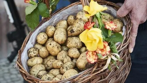 Kartoffelråd vil ikke snyde kongehuset for nye kartofler