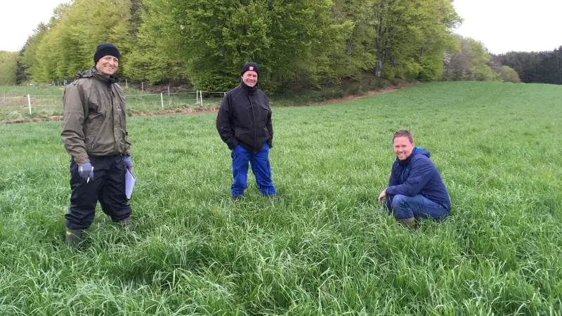 Tommy Pedersen, Mollerup Mølle (tv) og Brian Bastrup Søndergaard (th) besigtiger sammen med Gurli Klitgaard, DLF Rene Hermansen, I/S Kokkenborgs (midt) græsmarker med henblik på at hæve grovfoderudbyttet. Fotos: Gurli Klitgaard, DLF.