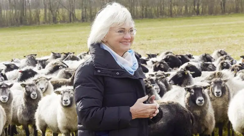 Pia Kjærsgaard fik inspiration til sit samråd med miljøministeren om ulveforvaltning, da hun i marts sammen med Holstebro-Struer Landboforening besøgte nogle af de midt- og vestjyske fåreavlere, der har haft flere ulveangreb. Foto: Tenna Bang