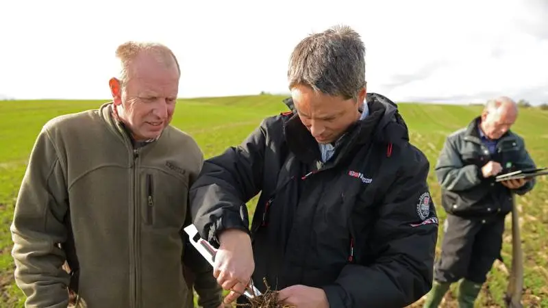 - Nogle hvedesorter er meget modtagelige overfor gulrust, hvor vi nu for andet år i træk ser et højt smittetryk, siger planteavlskonsulent Kasper Holm Kristensen, Velas (th). Her sammen med chefkonsulent Erik Sandal. Foto: Velas