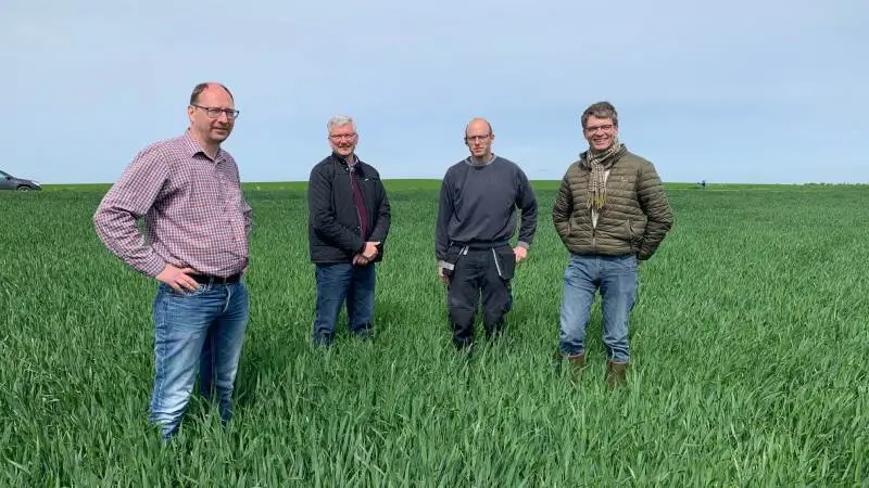 Peter Munk Lauritsen ved Ulstrup (t.v.) ser fordele ved sortsblandinger i vinterhvede. Han ses her i marken med Ole Agerholm Nielsen, Hedegaard, driftsleder Bjarke Wilhelmsen og Thomas Ory, Hedegaard. Fotos: Nordic Seed.