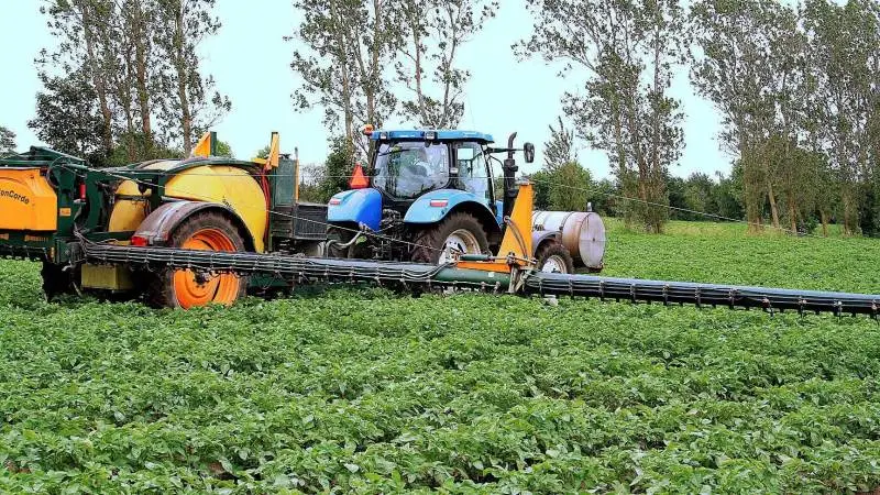 Mellem 20 procent og 30 procent af den ellers almindelige plansprøjtning, vil være nok, når der avles på skimmelresistente sorter, siger planteavlskonsulent i Centrovice, Jens Kristian Ege Olsen.