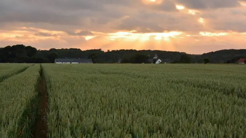 Hvis alt forløber som planlagt, vil vurderingen for ejerboliger og mindre landbrugsejendomme blive offentliggjort i løbet af 2. halvår 2020. Deciderede landbrugsejendomme og andre erhvervsejendomme bliver først vurderet efter de nye regler fra 2021, som det ser ud nu. Foto: Colourbox