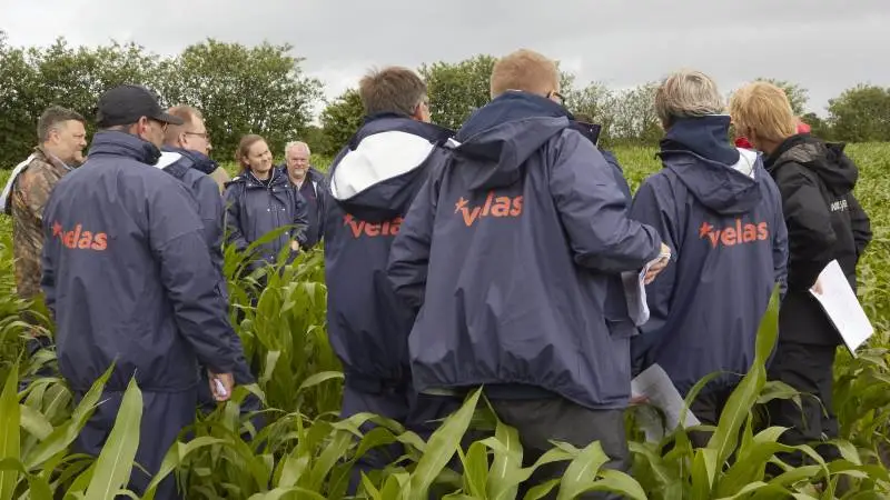 Der stod næsten Velas bag på alle regnjakkerne, da virksomhedens planteavlskonsulenter havde sat hinanden stævne i sidste uge til majs-nørde-formiddag i demonstrationsparcellerne ved Viborg. Her blev der delt erfaringer om en noget anderledes majsstart i år. (Fotos: Tenna Bang)