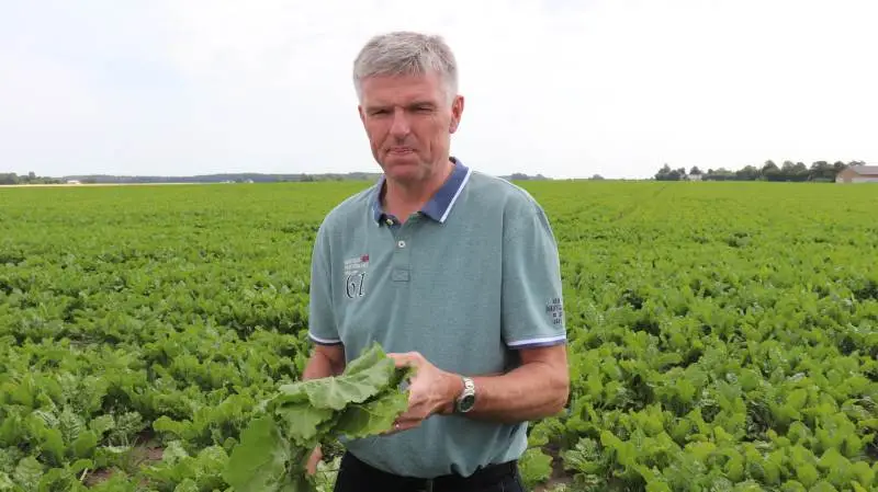 Troels Frandsen, Vatoregaard ved Nysted på Sydlolland, driver 440 hektar - heraf 130 hektar i år med sukkerroer. Han er ny formand for Danske Sukkerroedyrkere. Foto: Jørgen P. Jensen.