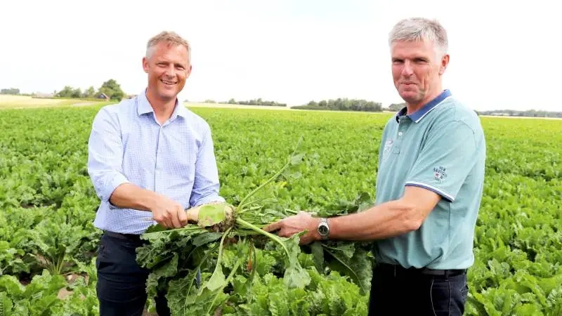 Som formand for Danske Sukkerroedyrkere er det Troels Frandsen (til højre), der forhandler kontraktforhold med Claus Nørgaard fra Nordic Sugar (til venstre).