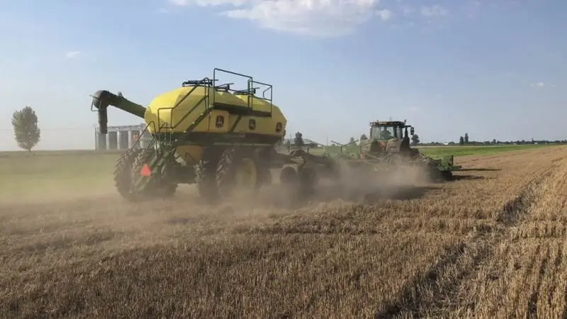 Hos danskejede JD Agro Cocora er der et markbrug på 12.500 hektar på noget af det bedste jord i Rumænien. Der bliver praktiseret en del direkte såning, som er en fordel i det varme og tørre klima. Fotos: Niels Damsgaard Hansen