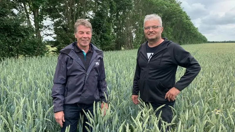 Jens Peter Skovsgaard (t.h) i hvedemarken sammen med produktkonsulent Troels Melvang, Vestjyllands Andel. Fotos: Nordic Seed