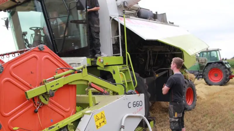 Da Effektivt Landbrug kiggede forbi var der netop sprunget en hydraulikslange på mejetærskere. Høstmandskabet konstaterede hurtigt, at der skulle hjælp fra en professionel smed, for at de var hurtigt i gang igen. Fotos Henriette Lemvig