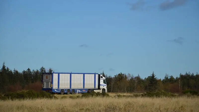 Hav ekstreme temperaturer in mente under planlægningen af forsendelser nationalt og internationalt, lyder det fra Fødevarestyrelsen. Arkivfoto: Camilla Bønløkke