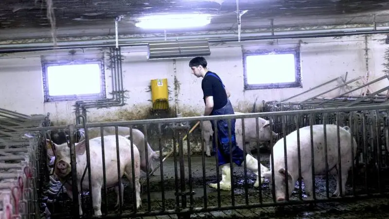 Indrejsende arbejdskraft uden bopæl i Danmark har nu fået samme mulighed som borgere med bopæl i Danmark for at blive coronatestet. (Arkivfoto)
