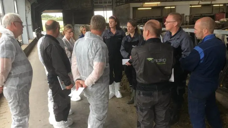 Efteruddannelsen har rustet både rådgivere og dyrlæger til bedre samarbejde på staldgangen.
