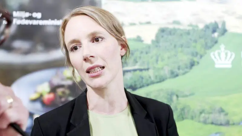Det er meget problematisk, hvis der er fejl i tallene, fordi de ligger til grund for meget af den miljøpolitik, vi fører i forhold til vandløb og vandmiljø, siger miljøminister Lea Wermelin (S). Arkivfoto