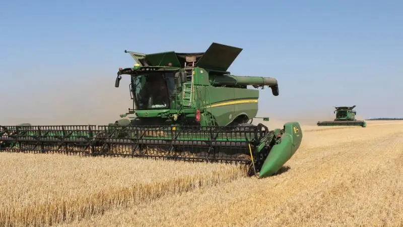 I alt fire John Deere-mejetærskere klarer de cirka 3.200 hektar høst hos JSJ Agro. Fotos: Christian Carus