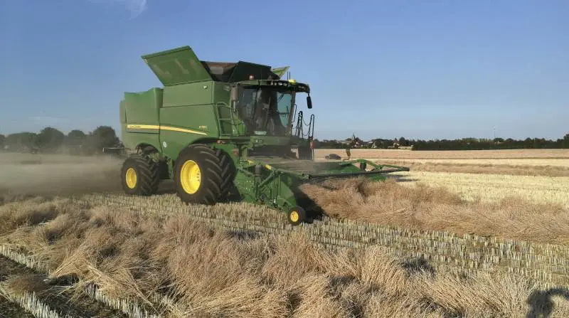 Med Bjerreby Kirke i baggrunden høster Ulrik Lunde de 19 hektar med karsefrø med sin nye John Deere S785i mejetærsker. Pickup’en er lejet hos Hvidkilde Gods.