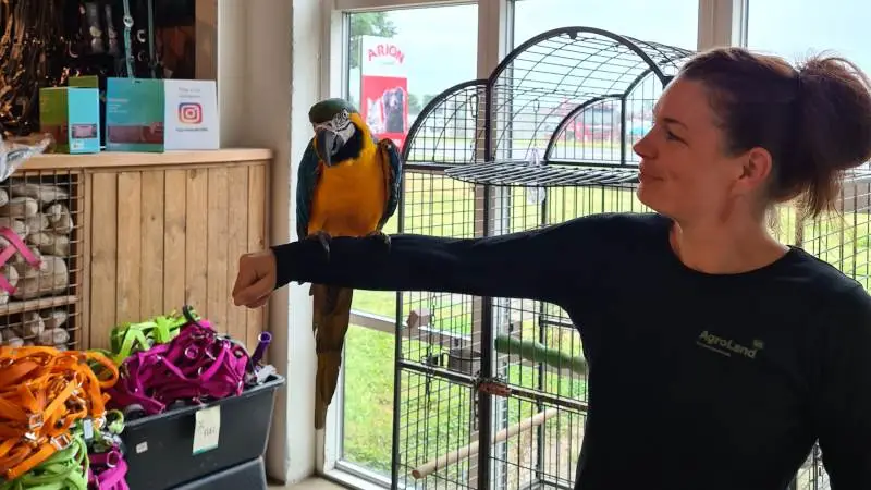 Elvis her har været med siden det første år, så den har boet her i 18 år. Den snakker, når den gider. Vi har også kæmpeskildpadder, fortæller Karina Schultz Pedersen.