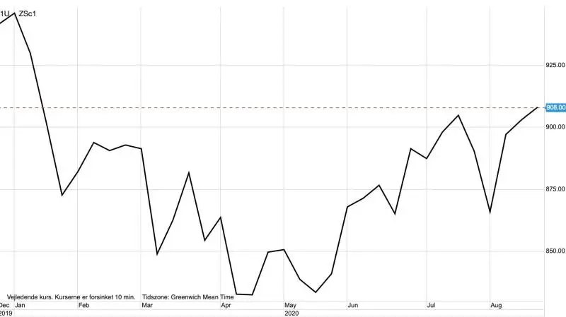Ugegraf: CBOT Sojabønner i US-cent pr. bushel
Et kraftigt fald i kvaliteten for blandt andet amerikanske sojabønner har fået spekulanterne til at købe afgrødefutures i sidste uge. Derfor fastholder prisen for sojabønner, såvel som majs, det stigende opadgående momentum.