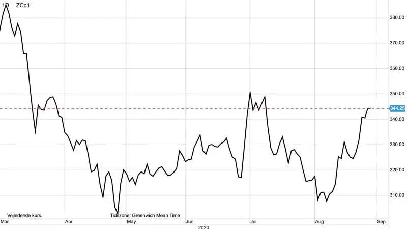 Dagsgraf: CBOT-majs i US-cent pr. bushel
Eksporten af afgrøder går forrygende i USA såvel som i Europa. Det giver sig blandt andet udslag i en majspris i USA, der rykker kraftigt op. Det samme gør afgrødepriser over en bred kam i det meste af verden.