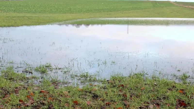 - Vil man en god høst med høje udbytter, er en god dræning alfa og omega. Det er vigtigt, at man har en god afvanding, har lagt en strategi for sin dræning og følger den, lyder det fra agronom og Ph.d. Kasper Jakob Jensen.