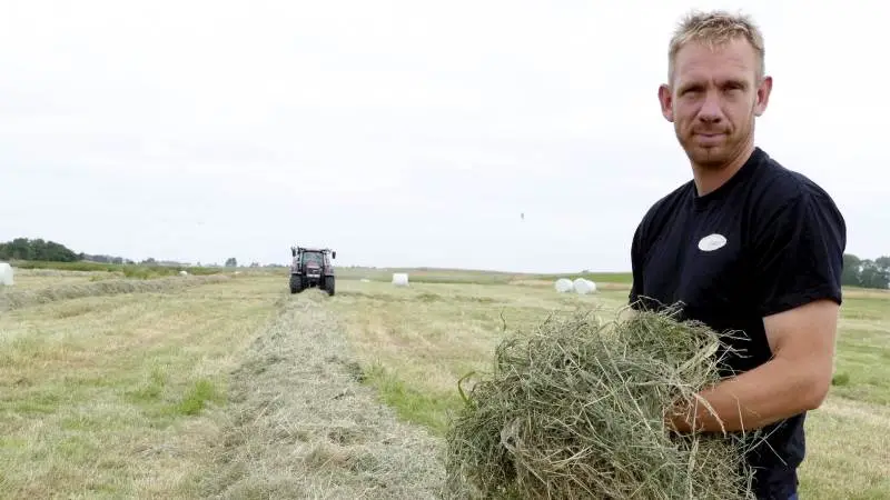 Michael Andersen, Tøvestensgaard, ser perspektiver for øget bæredygtig mælke- og osteproduktion på arealer, der bliver taget ud af drift i forbindelse med multifunktionel jordfordeling. Foto: Bøje Østerlund