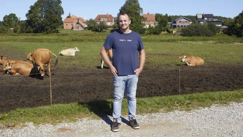 Mathias Hedegaard har på halvanden uge skiftet sine røde køer ud med Jersey og skippet malkerobotterne til fordel for en malkestald.