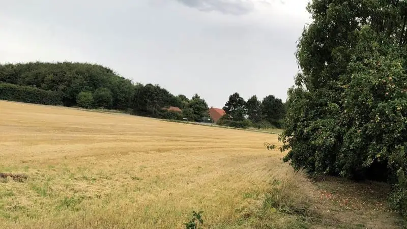 Fra Paul Erik Skifters terrasse i Knebel, er der frit udsyn til det lokale rensningsanlæg. Han ønsker, at anlæggets logs bliver offentligt tilgængelige, så interesserede kan følge med i, hvad der præcis bliver udledt. Foto: Djursland Landboforening.
