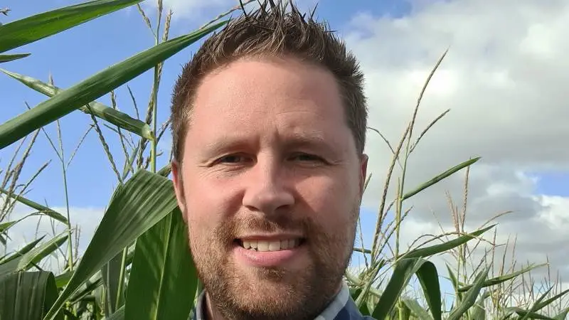 - Vi så, at rigtig mange mælkeproducenter i området fik sået majsen i slutningen af april, kort før den kolde periode. Vi ventede til starten af maj i stedet, og vi må konstatere, at vores parceller står langt bedre end de marker, der er sået i sidste halvdel af april. De har blandt andet klaret sig godt imod svampeangreb i jorden, siger Brian Bastrup Søndergaard, planteavlskonsulent og grovfoderrådgiver hos Velas.