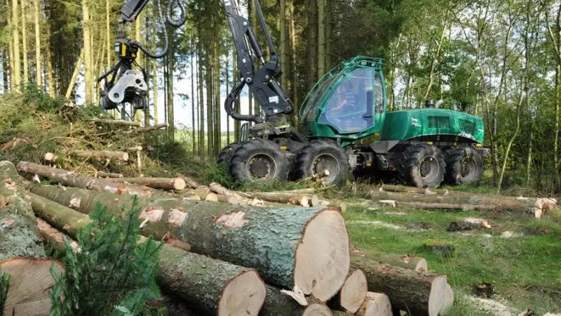 Møbelgiganten Jysk vil fremadrettet kun have møbler produceret fra skove, der leverer FSC-certificeret træ.