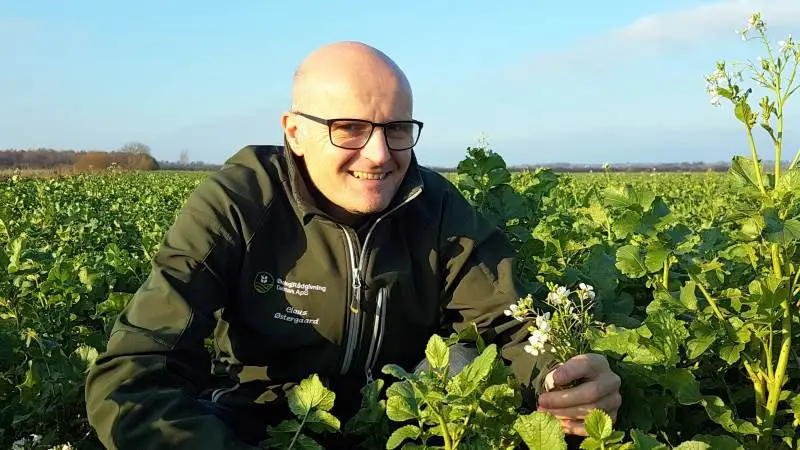 Der er fortsat stor interesse fra danske landmænd for at udvide det økologiske areal, konstaterer plantechef i ØkologiRådgivning Danmark, Claus Østergaard