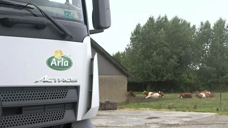 EU’s mælkeproduktion fortsætter sin nye tendens til stærk årlig vækst, lyder det i Arlas markedskommentar. Arkivfoto