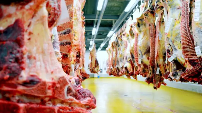 Danish Crown Beef har fået fastlagt en ny vognmandsaftale for indtransport af kreaturer til selskabets slagterier.