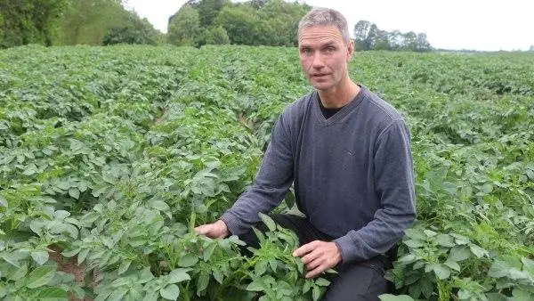 Efter ikke mindst en stor dyrkerinteresse fra øst for Storebælt er bestyrelsesmedlem Lau Hvid Hansen optimistisk her op til deadline for kartoffelmelsprojektets skæbne.