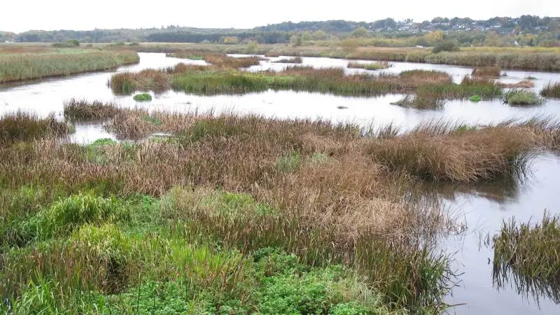 I maj i år påviste Bæredygtigt Landbrug, hvordan regulering og vedligehold af Gudenåen foregår på et tvivlsomt grundlag. Nu mener foreningen, at et vigtigt vandløbsslag er vundet i Aalborg Kommune. Arkivfoto.
