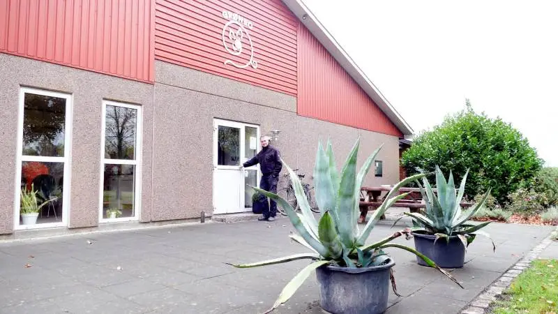 - Jeg må da sige, at det da er noget, som har givet mig søvnløse nætter trods god forberedelse, fortæller Claus Bruun Jørgensen, der om blot fem uger har sat samtlige 2000 årssøer ud af staldsystemet og dermed trukket i håndbremsen for de 70.000 30 kg’s smågrise, som han ellers årligt sender til Tyskland. Arkivfotos: Bøje Østerlund