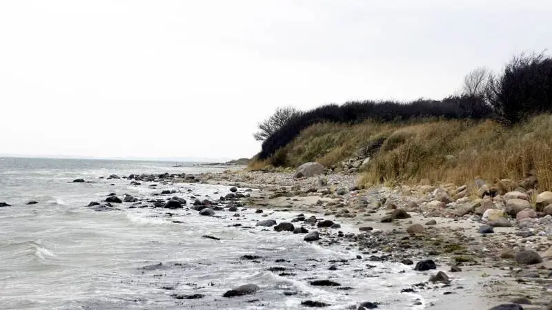I 2015 var udledningen til havmiljøet cirka 77.000 tons kvælstof, hvilket var meget højt og blandt andet skyldtes stor nedbør i 2015. Foretages en normalisering i forhold til de varierende nedbørsmængder mellem årene, er tilførslen i kalenderåret 2016 opgjort til cirka 59.000 tons kvælstof. Arkivfoto