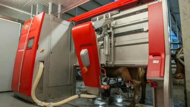 Ved Lely Future Farm Days, der afholdes disse dage i Holland, introducerer Lely både en ny malkerobot og den seneste innovation i automatisk foderskubning, den forbedrede Lely Juno foderskubber.