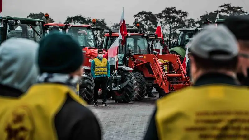 I dag den 28. oktober står polske landmænd klar til omfattende demonstrationer i Warszawa og det øvrige Polen mod regeringens nye dyrevelfærdslove. Fotos: Tomasz Slezak -Tygodnik Rolniczy