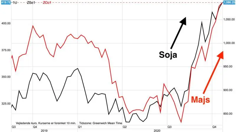 Ugegraf: CBOT Majs og Sojabønner i US-cent pr. bushel
Afgrødepriserne i USA fortsætter ufortrødent med at stige, efter en skuffende høstfremgang for sojabønner og majs i det amerikanske Midtvesten.