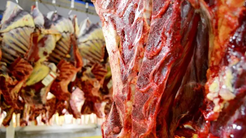 I Danmark er salget hjulpet på vej af gode kampagner sammen med detailhandelen, men også her viser Covid-19 sig i markedet, lyder meldingen fra Danish Crown Beef.