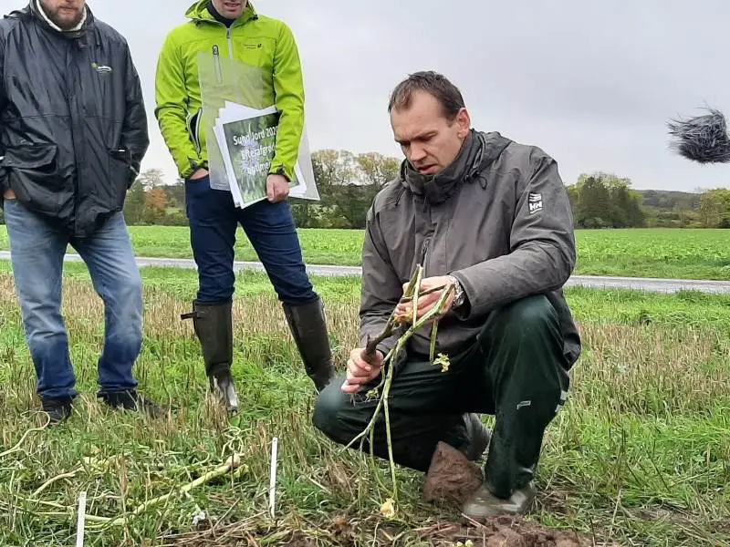Henrik Fredsgaard Larsen (siddende), planteavlskonsulent, Agrovi, fremhæver, at det er væsentligt at have en god efterafgrøde. Fotos: Agrovi