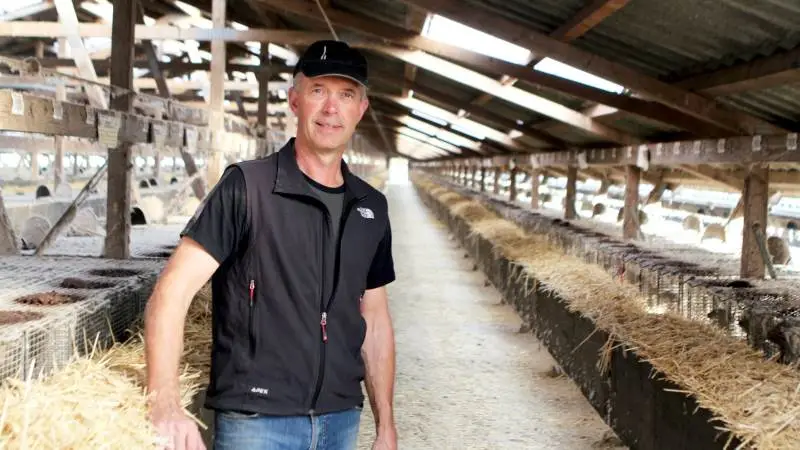 Igennem flere artikler i 2018 og 2019 fulgte Effektivt Landbrug Henrik Svendsens minkbedrift ved Hvalsø på Sjælland. Her fortalte han, at troede opsvinget for minkbranchen lå lige om hjørnet. Det troede han stadig på ind til onsdag eftermiddag. Foto: Lasse Ege Pedersen