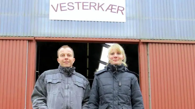 Ralph og Camilla Carstensen, Bylderup-Bov, lagde om til alt ind/alt ud i starterstaldene og sænkede dødeligheden fra over ti procent til 2,3 procent. Fotos: Erik Kjærgaard Christensen
