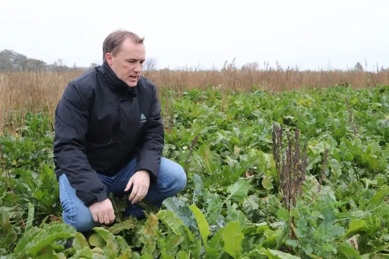 - Det bliver fremover endnu vigtigere at komme tidligt ud med ukrudtsbehandlingerne, da Betanal Power udgår fra kommende sæson, understreger Lars Kruse Andersen fra Adama.