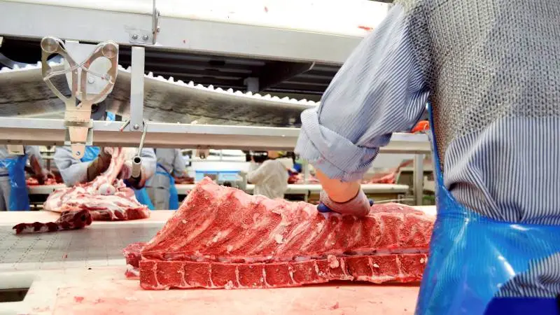 Det er svært at få omsat oksekød på grund af de mange coronarestriktioner, der har lukket restauranter i store dele af Europa. Men måske er der bedring på vej.
