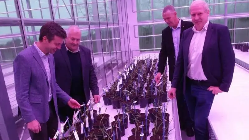 Fra venstre: Jens Due Jensen, leder af Bygforædling i Nordic Seed, Niels Jørgen Bønlykke, formand for Pajbjergfonden, Ole Lykke, driftschef i Nordic Seed, Kim Bonde Petersen, direktør i Nordic Seed. Foto: Pajbjergfonden